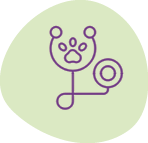 diagnostico yayvet