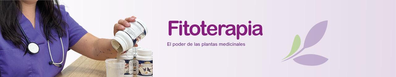 movil fitoterapia yayvet