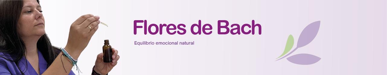 movil flores yayvet