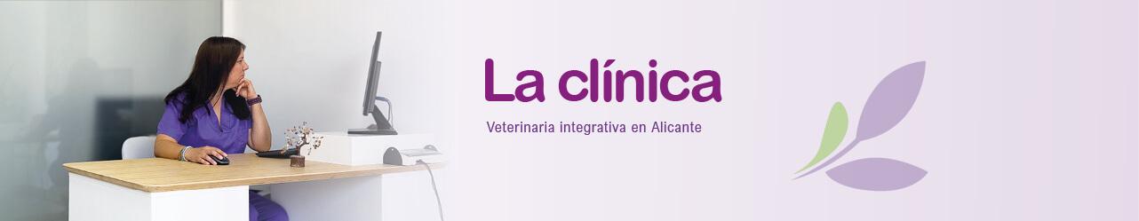 movil clinica yayvet