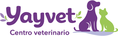 logotipo yayvet